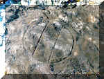На капище. 2001 г.