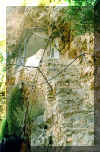Пещера святого Космы Зографского. 2001 г.